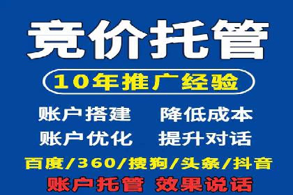 某电商平台的SEM广告投放策略及效果评估